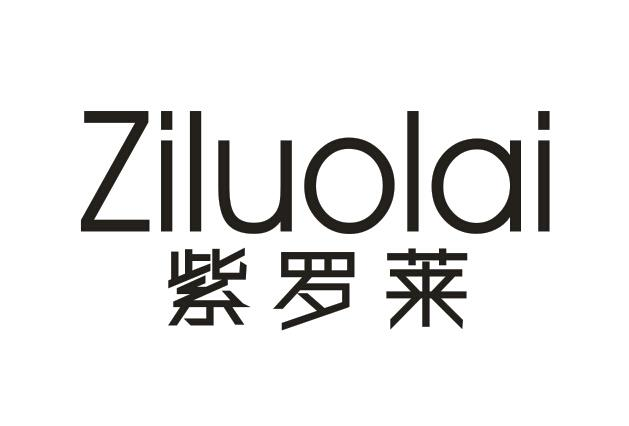  收藏 多类别 商标编号: 450421 商标类别: 11灯具空调